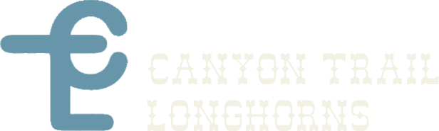 Canyon Trail Longhorns logo